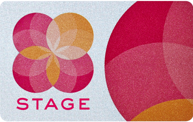 Stage Credit Card And Payment Login Information Stage Credit Card Login 